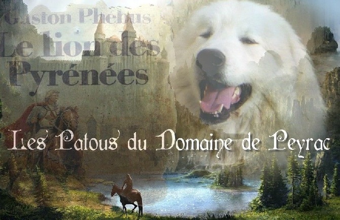 du Domaine de Peyrac - Notre nouveau site photos